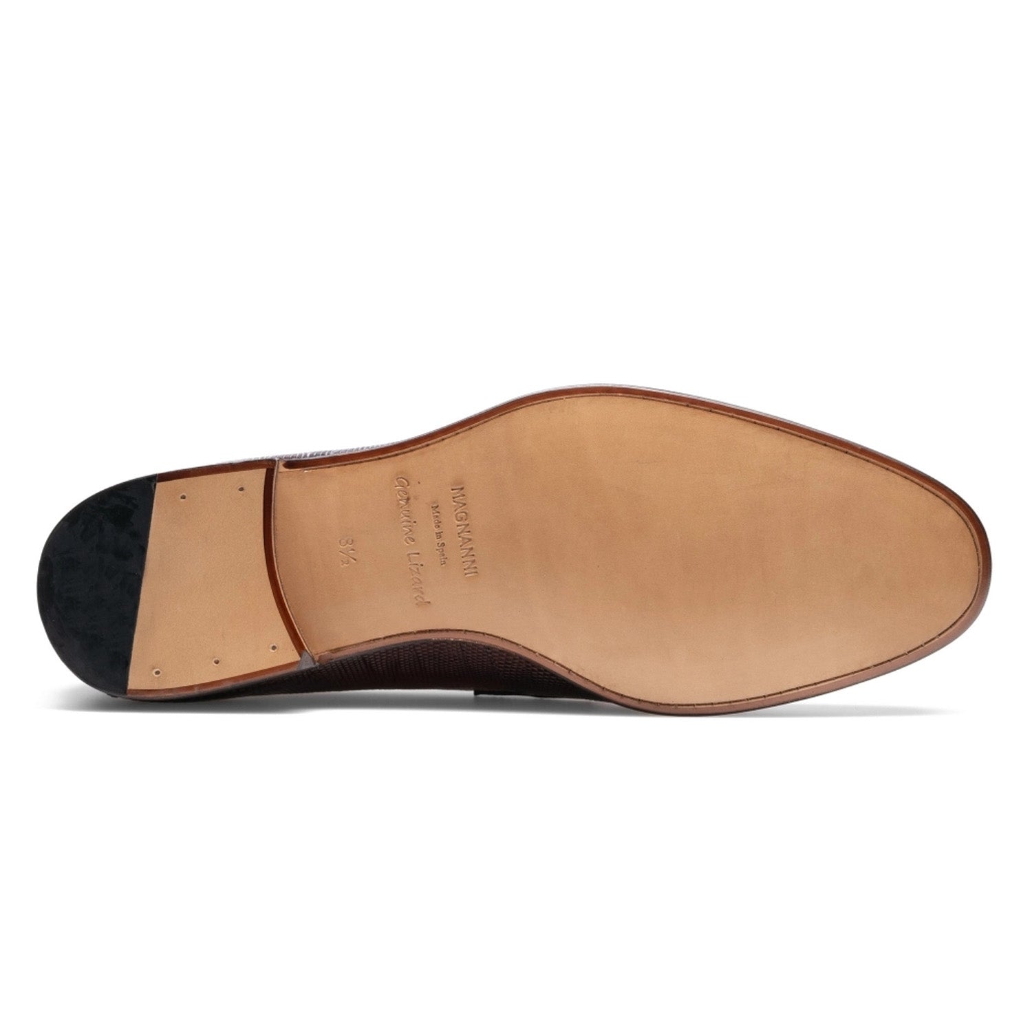 magnanni lizard penny