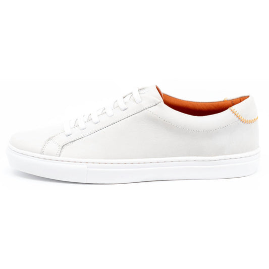 lace sneaker